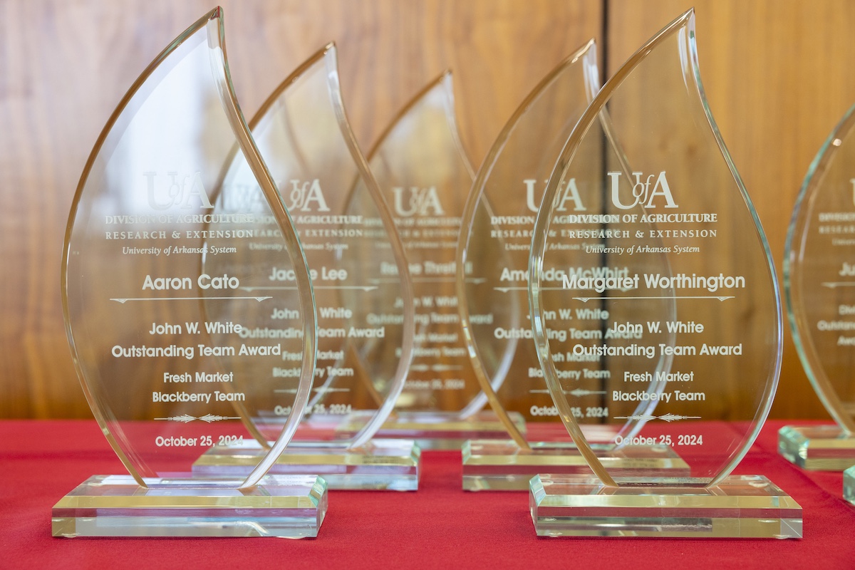 A row of gleaming awards displayed on a vibrant red table, showcasing achievements and recognition.