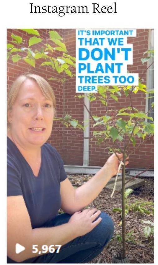 screen shot of a woman kneeling next to a tree with words "it's important that we don't plant trees too deep." 