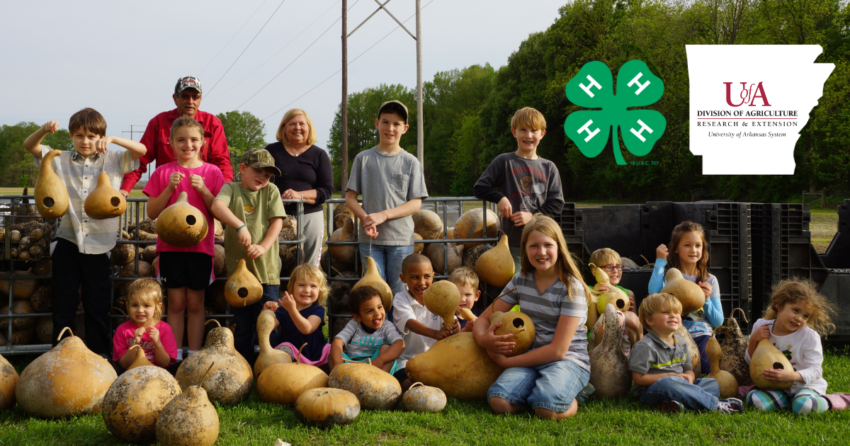 UADA 4-h gourds cover photo