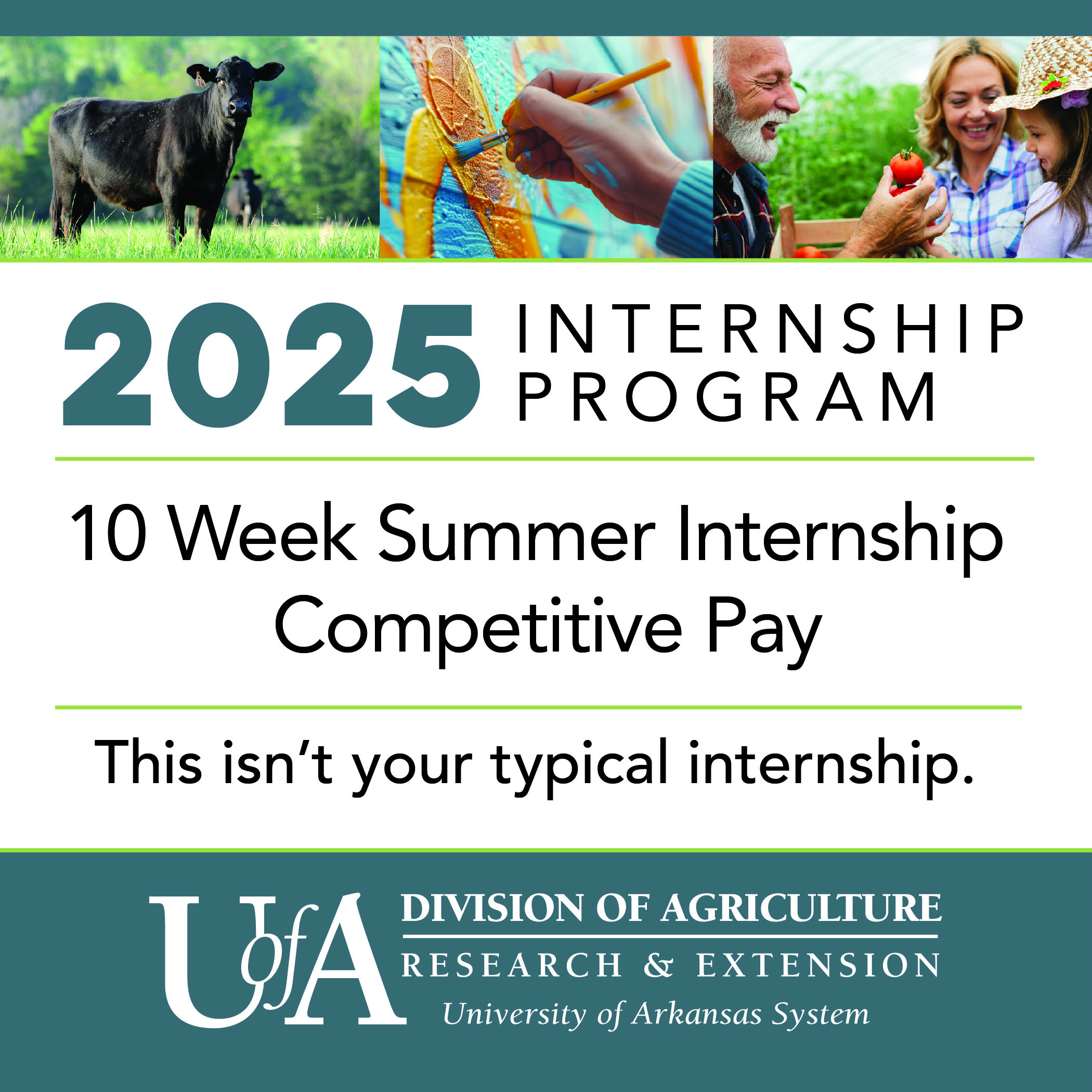 County Agent Internship is OPEN