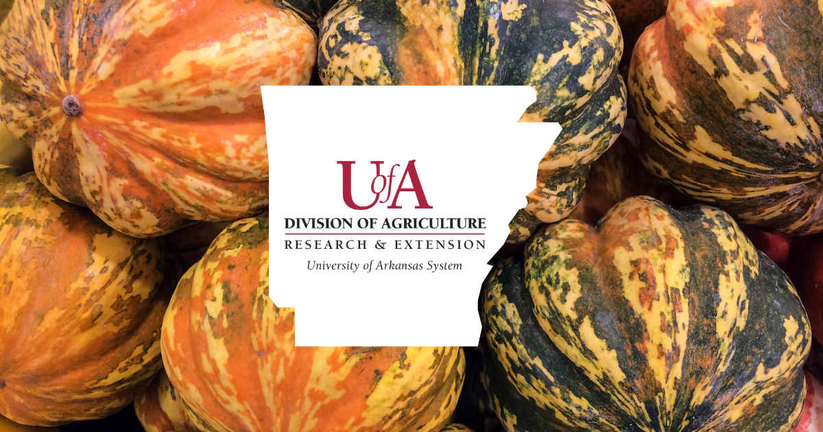 UADA acorn squash cover photo