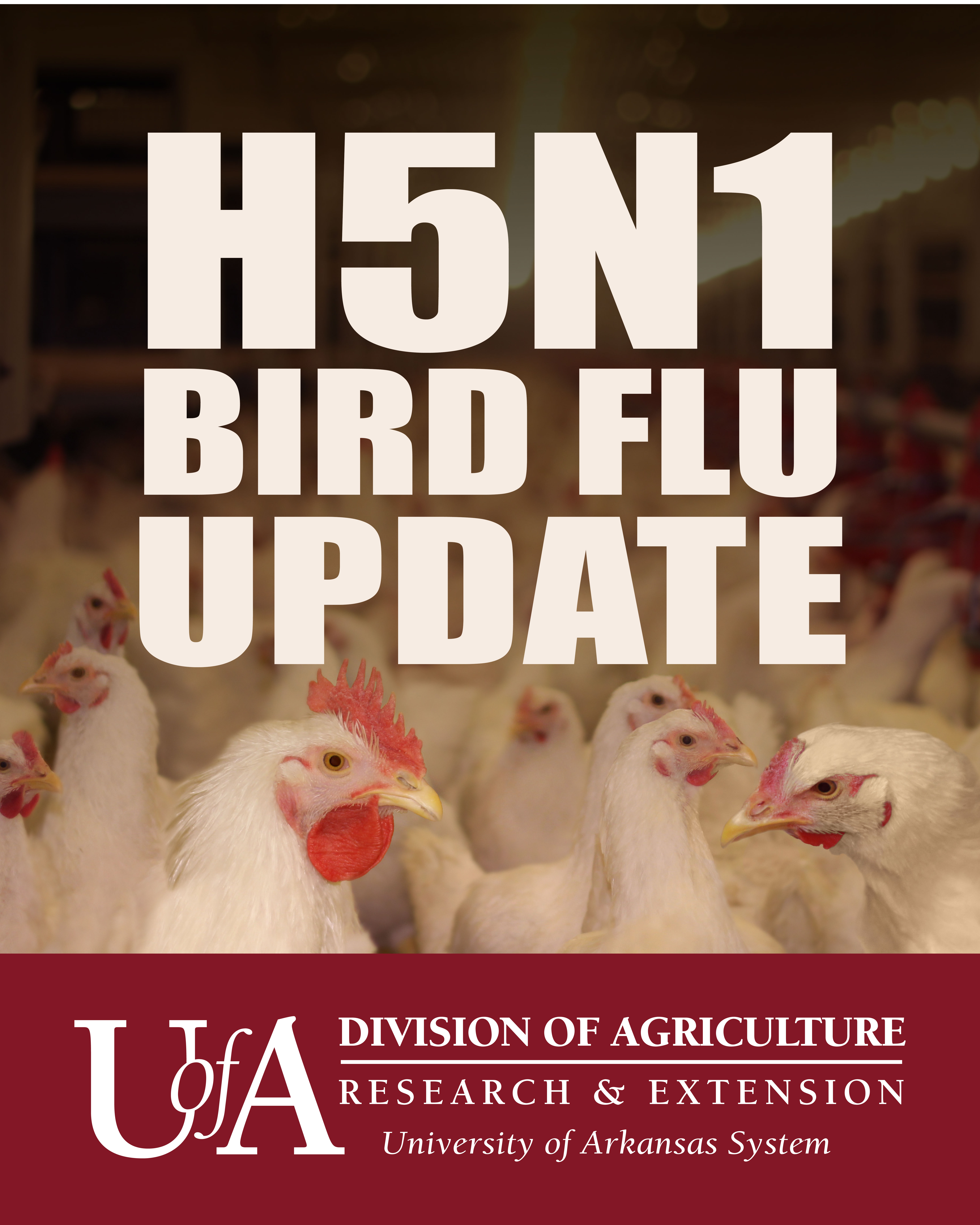 Avian Flu Update