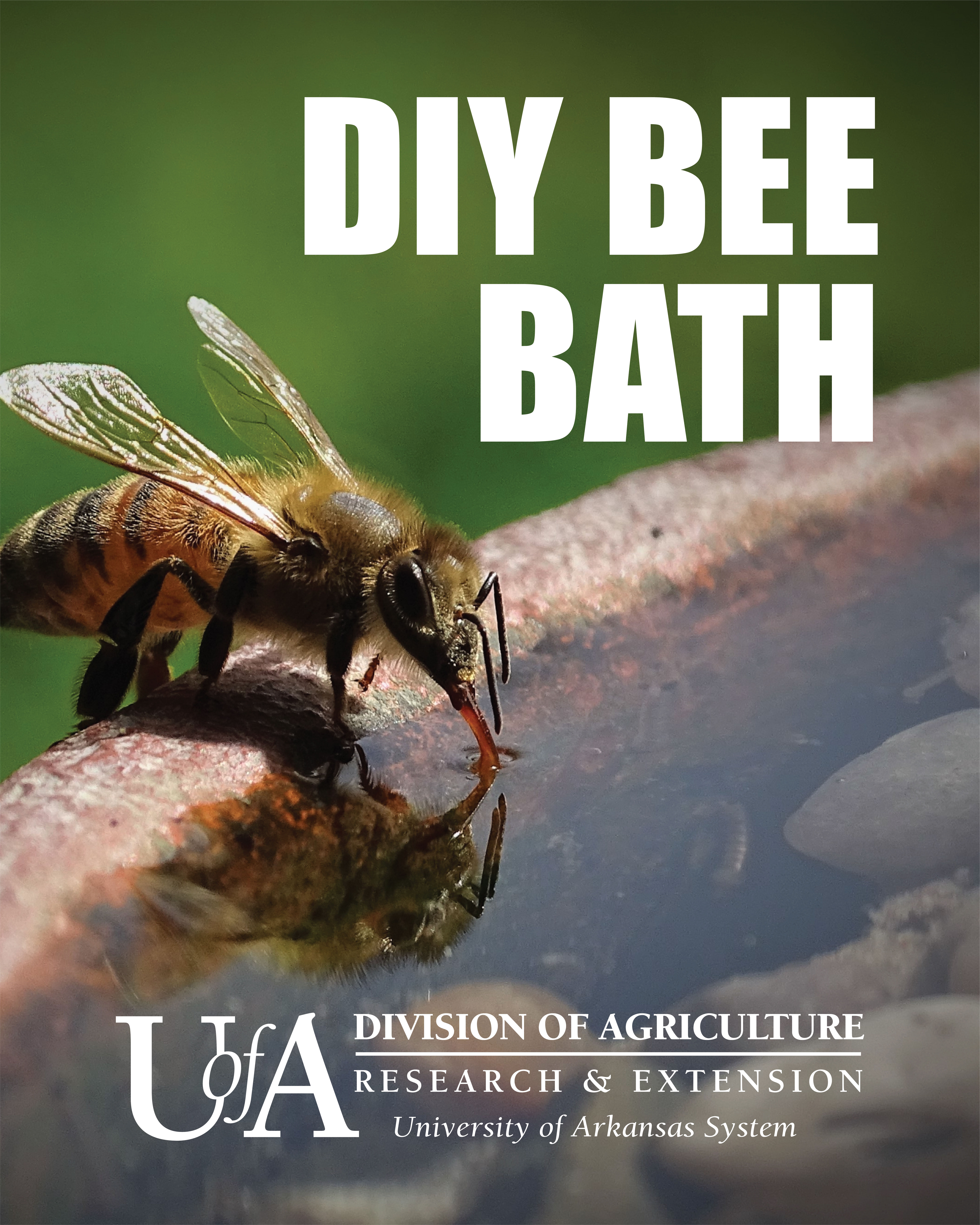 Bee Bath