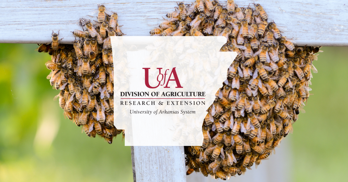 UADA bee swarms cover photo