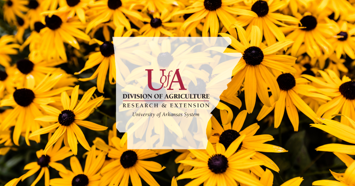 UADA black-eyed susans cover photo