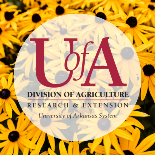 UADA blakc-eyed susans profile pic