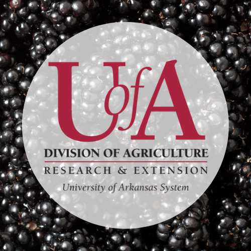 UADA blackberry profile pic