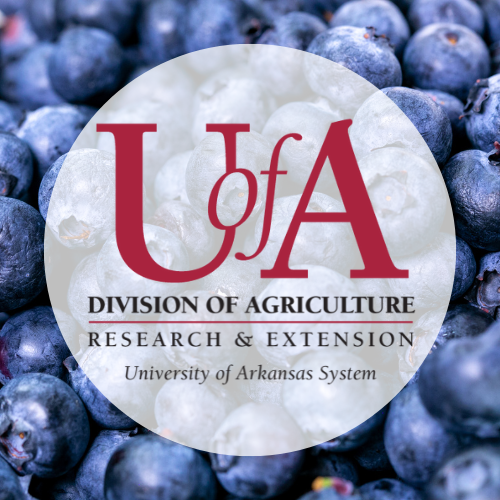 UADA blueberries profile pic
