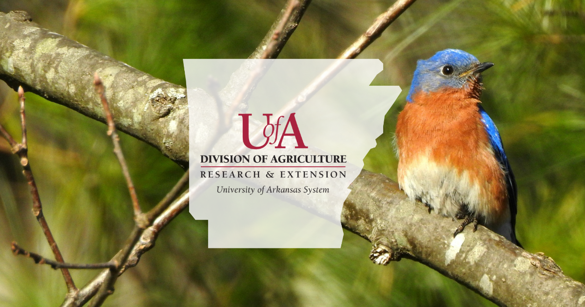 UADA bluebird cover photo