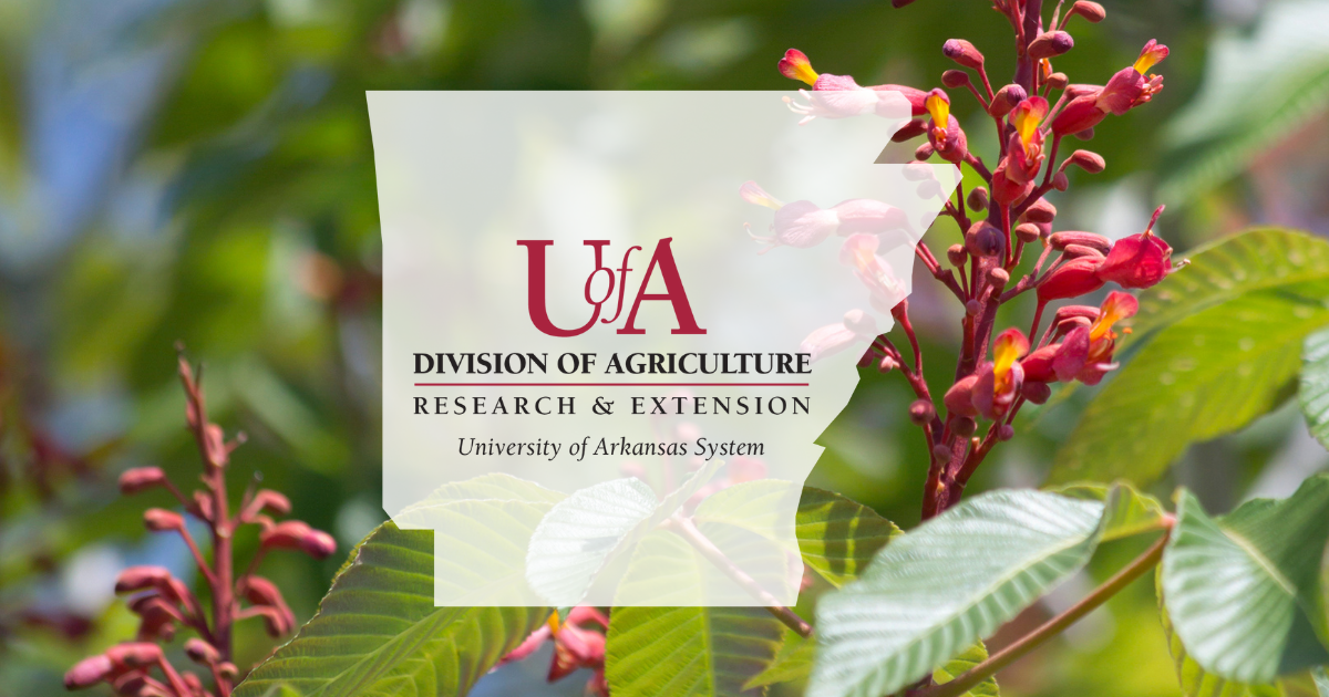 UADA buckeye cover photo