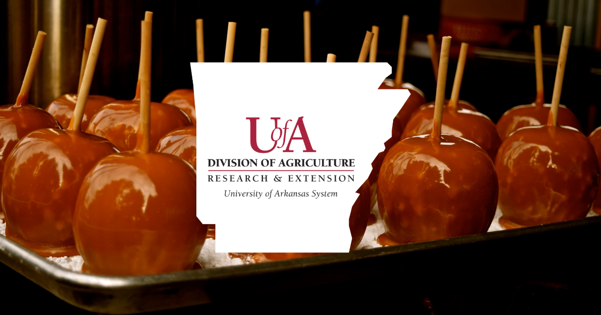 UADA candied apples cover photo