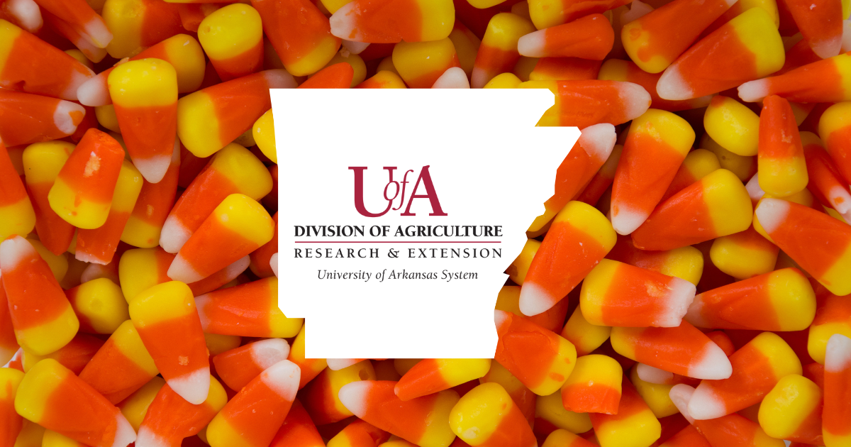 UADA candy corn cover photo