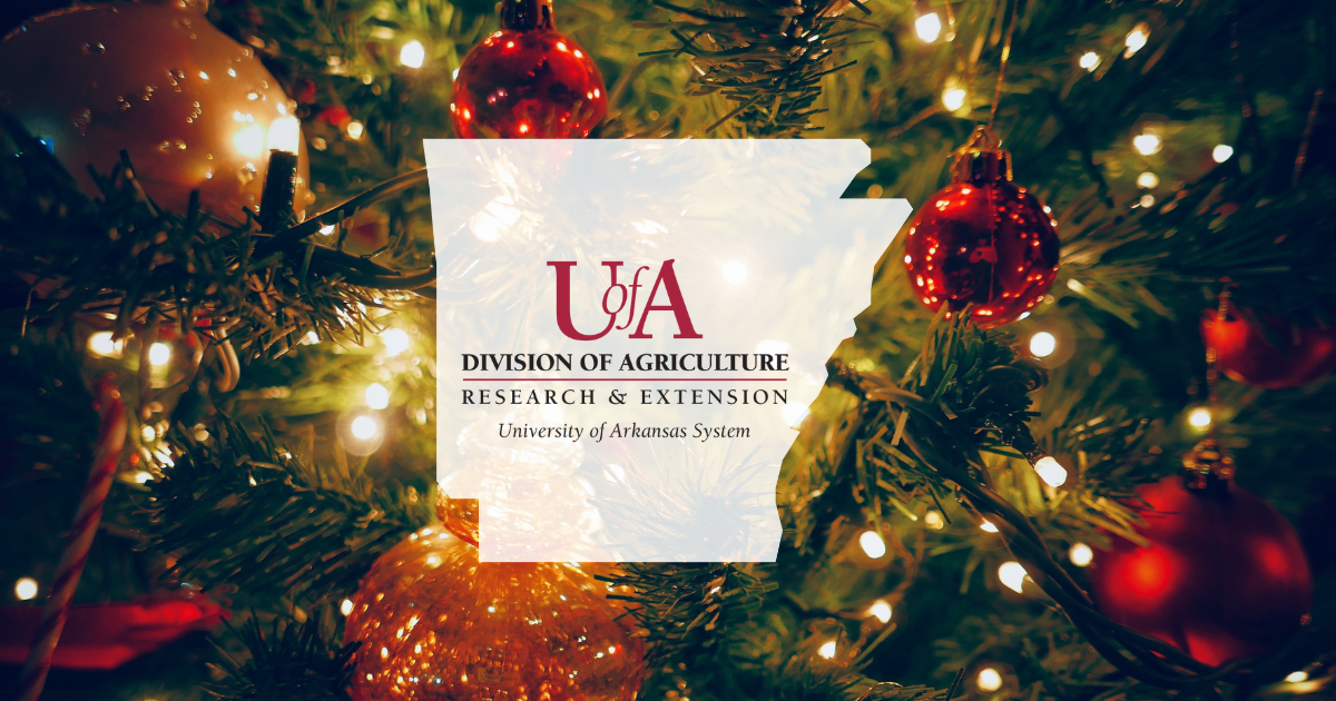 UADA christmas tree cover photo