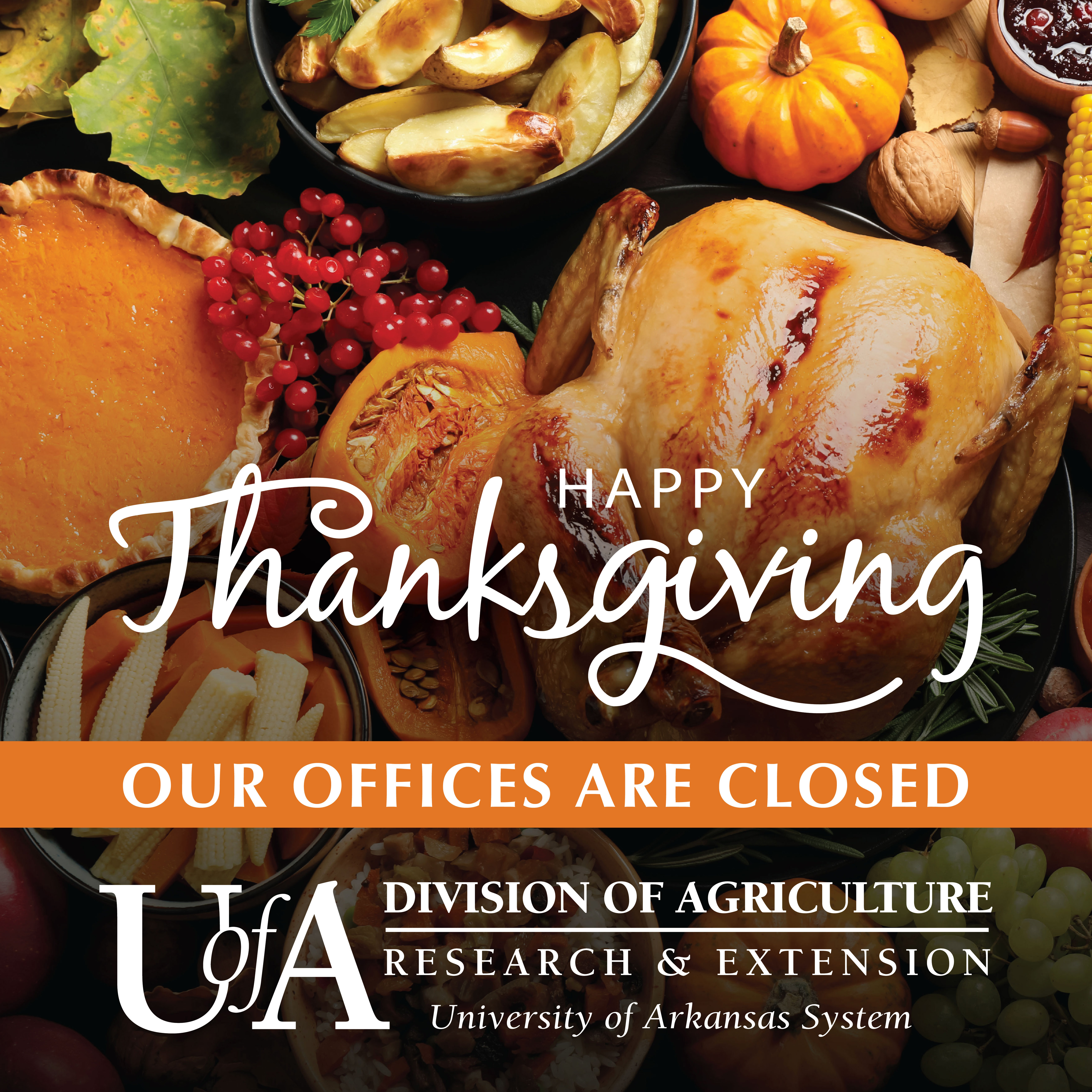 Closed Thanksgiving