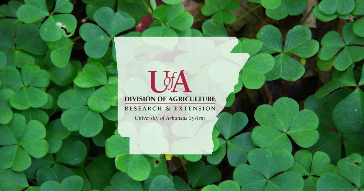 UADA clovers cover photo
