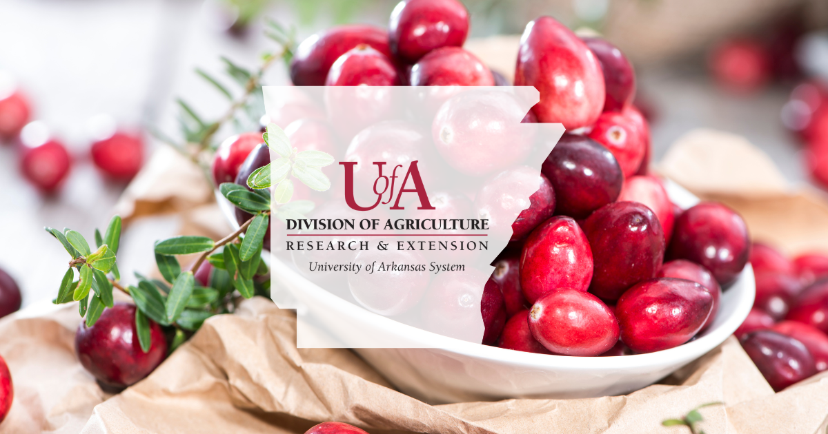 UADA cranberries cover photo