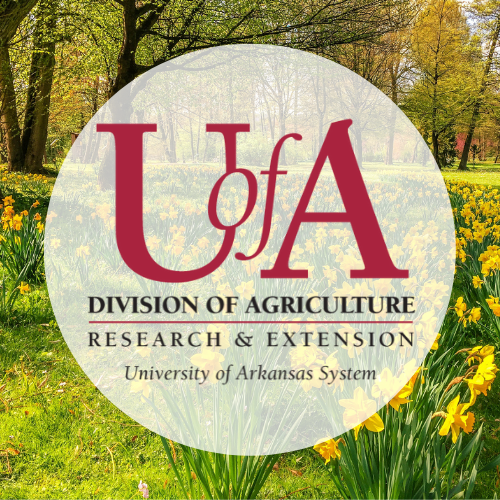 UADA daffodil profile pic