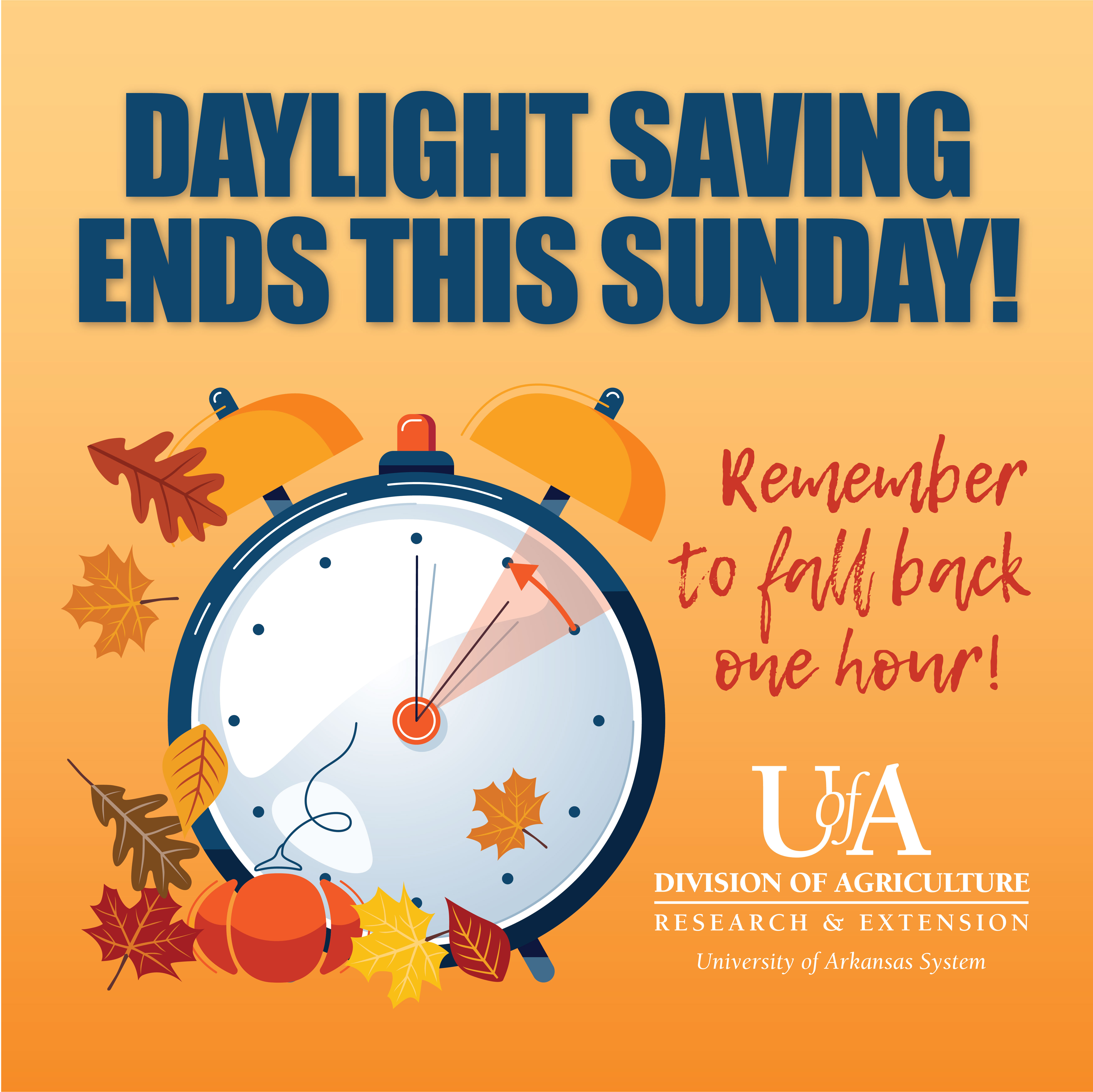 Daylight Savings