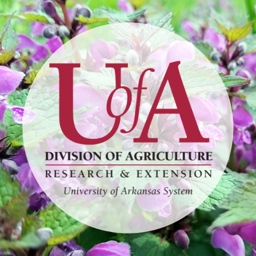 UADA deadnettle profile pic