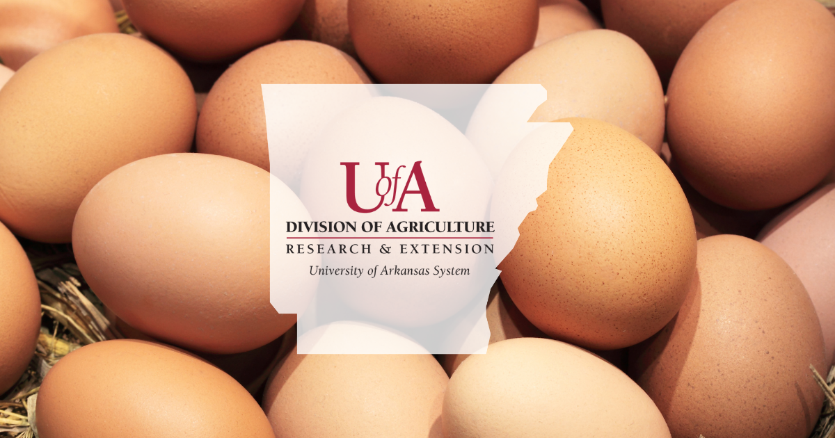 UADA eggs cover photo