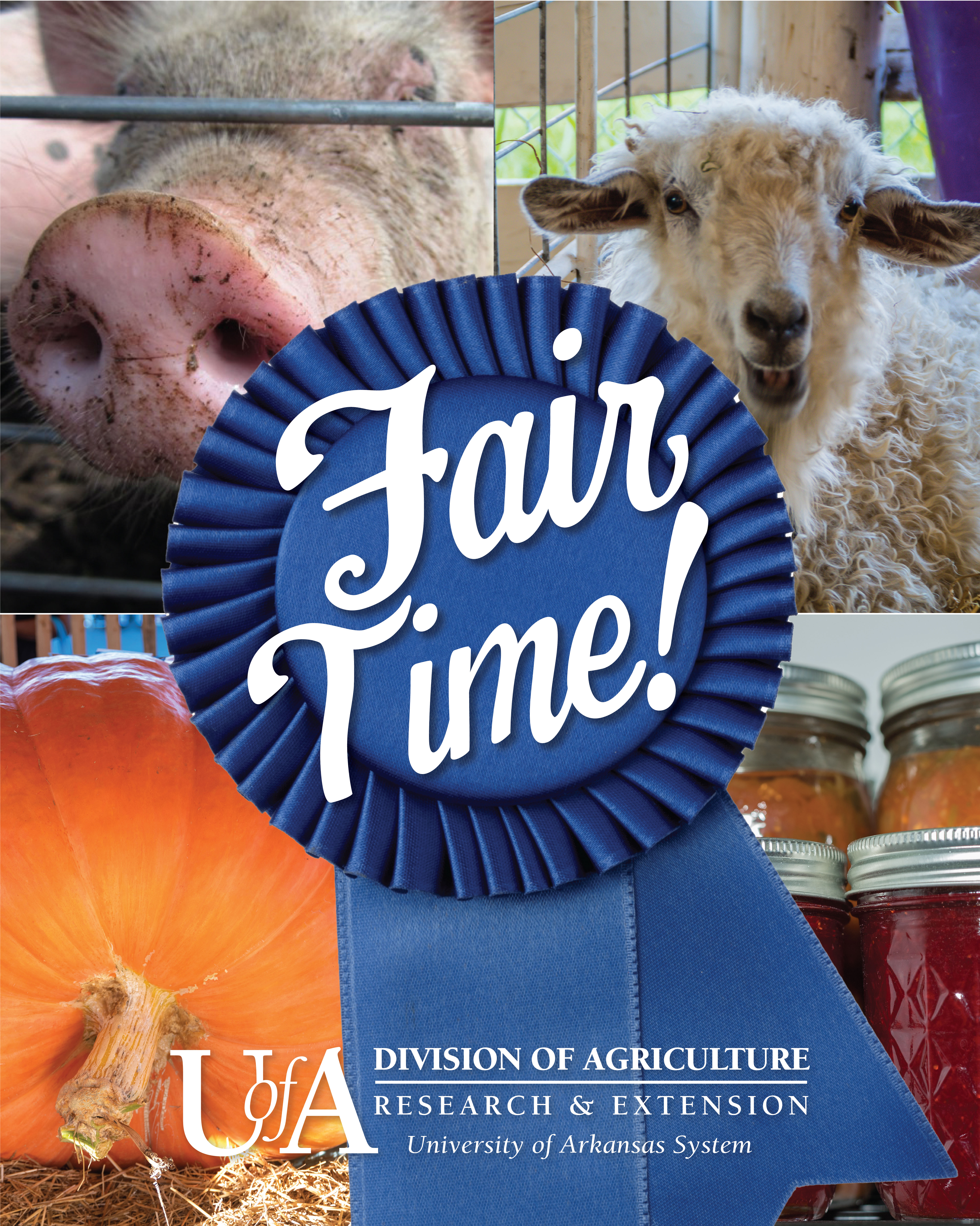 Fair Time
