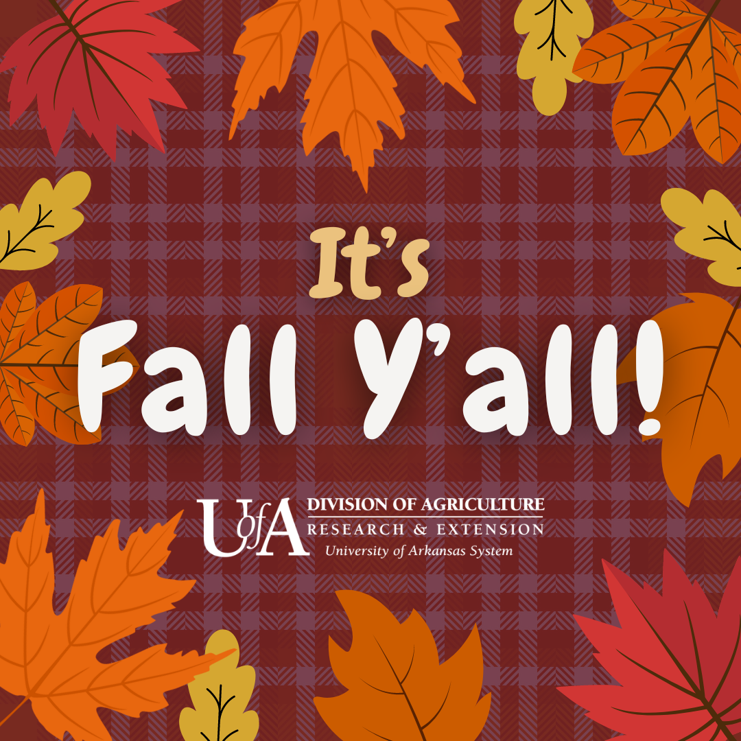 It's Fall, Y'all - First day of fall graphic