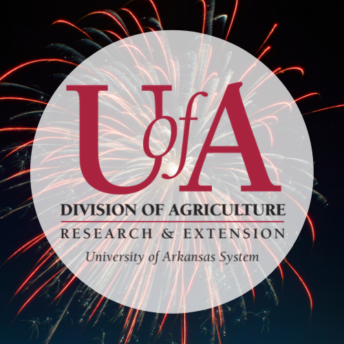UADA fireworks profile pic