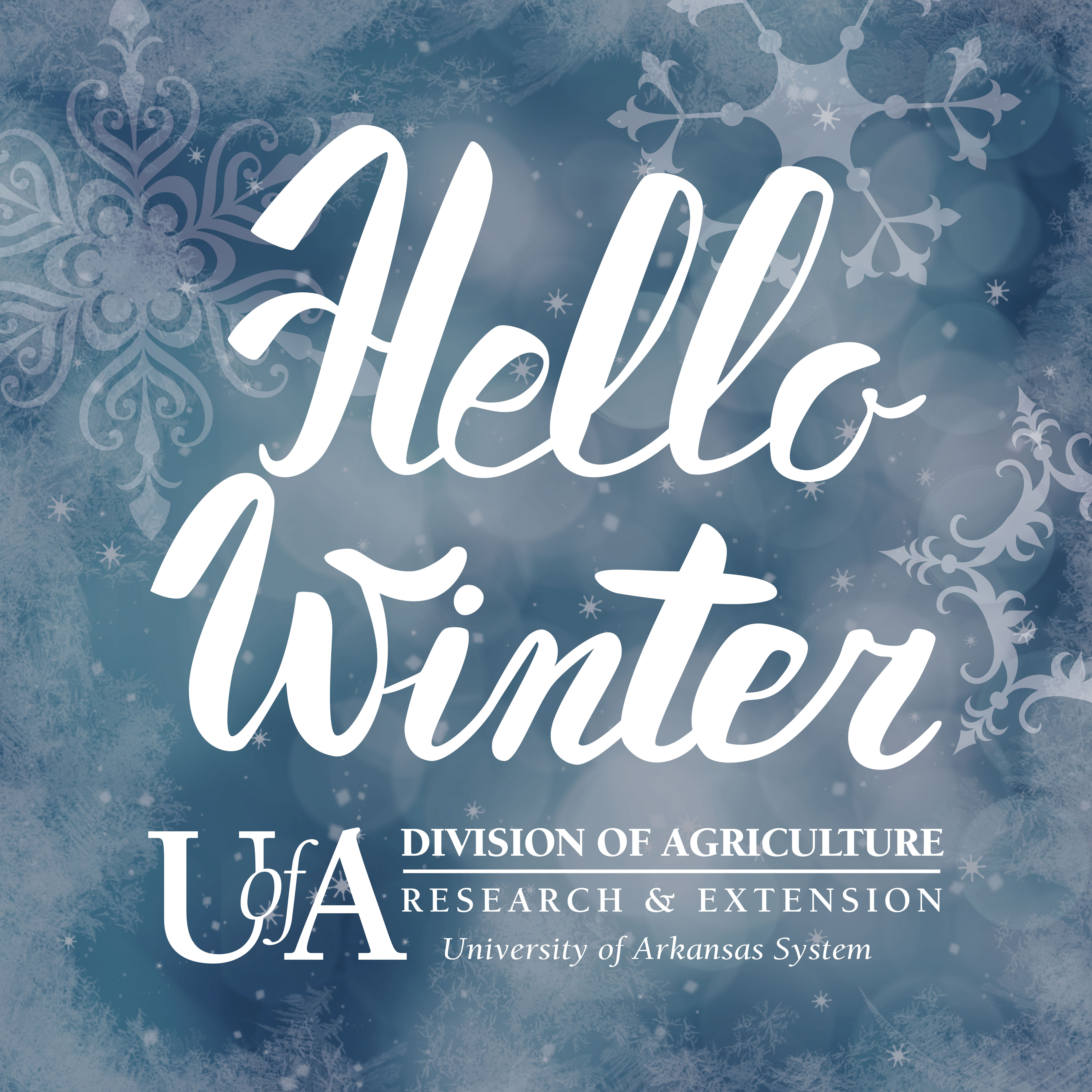 First Day of Winter
