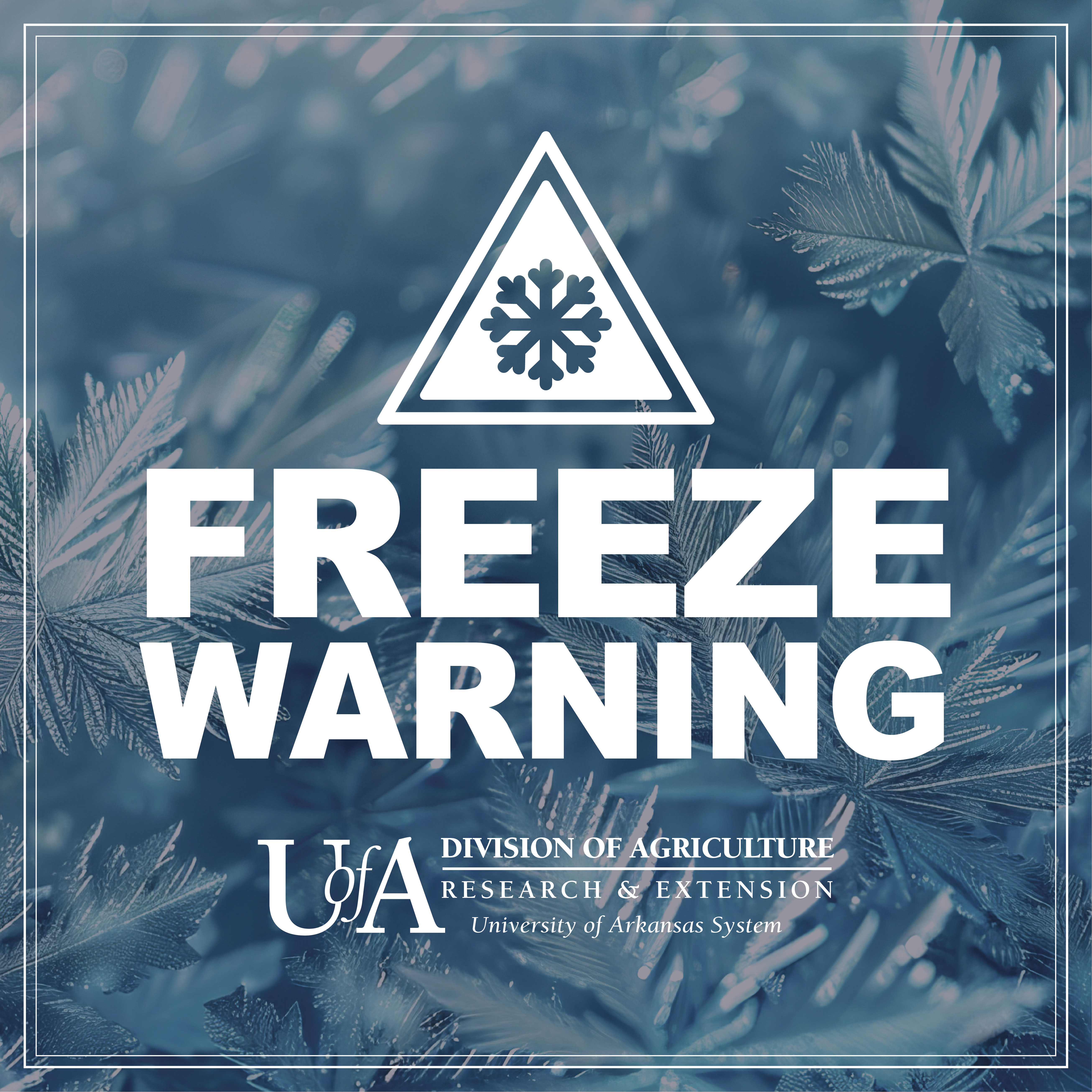 Freeze Warning