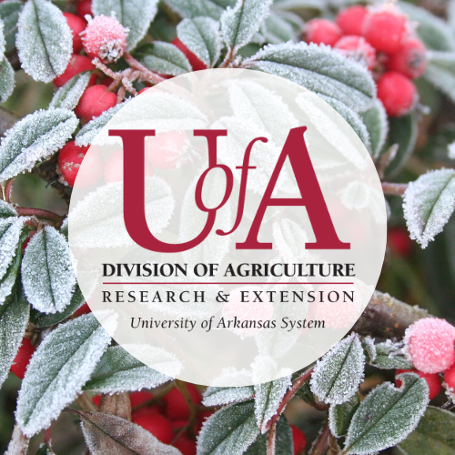 UADA frost profile pic