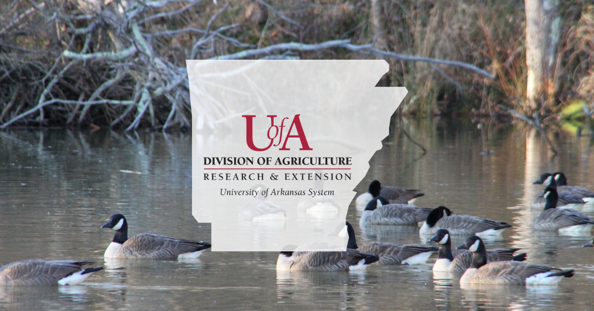 UADA goose cover photo