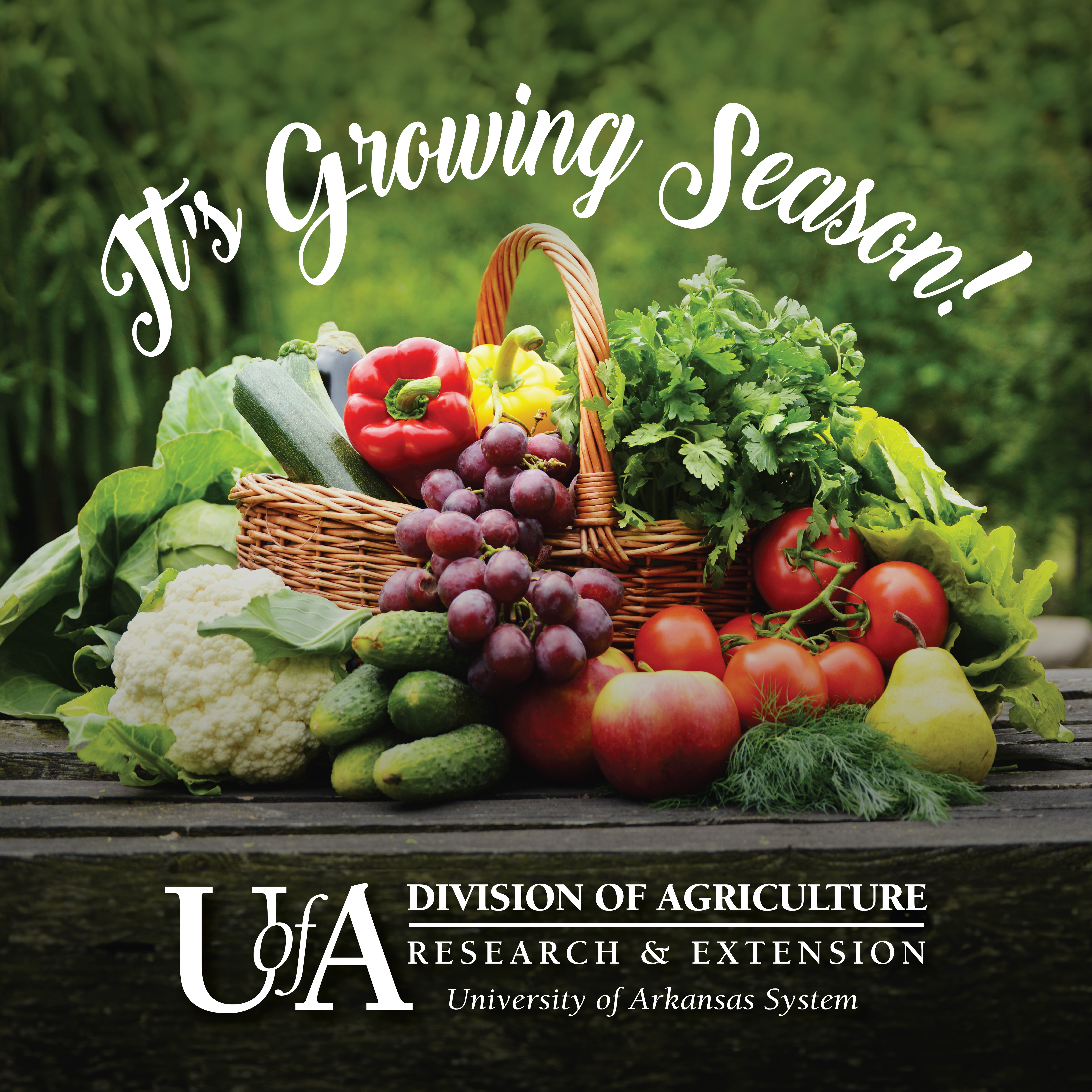 "It's Growing Season" graphic