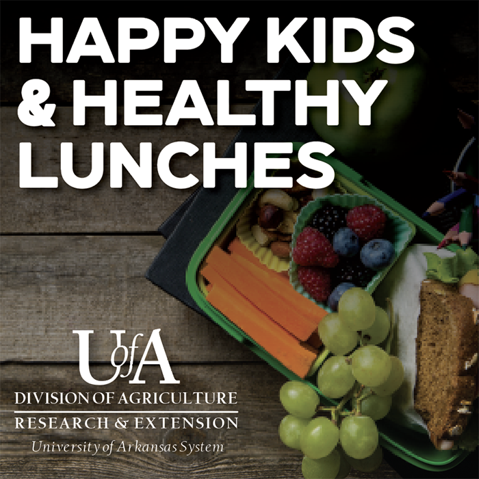 healthy lunches