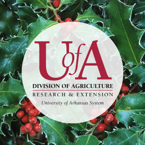 UADA holly with frost profile pic