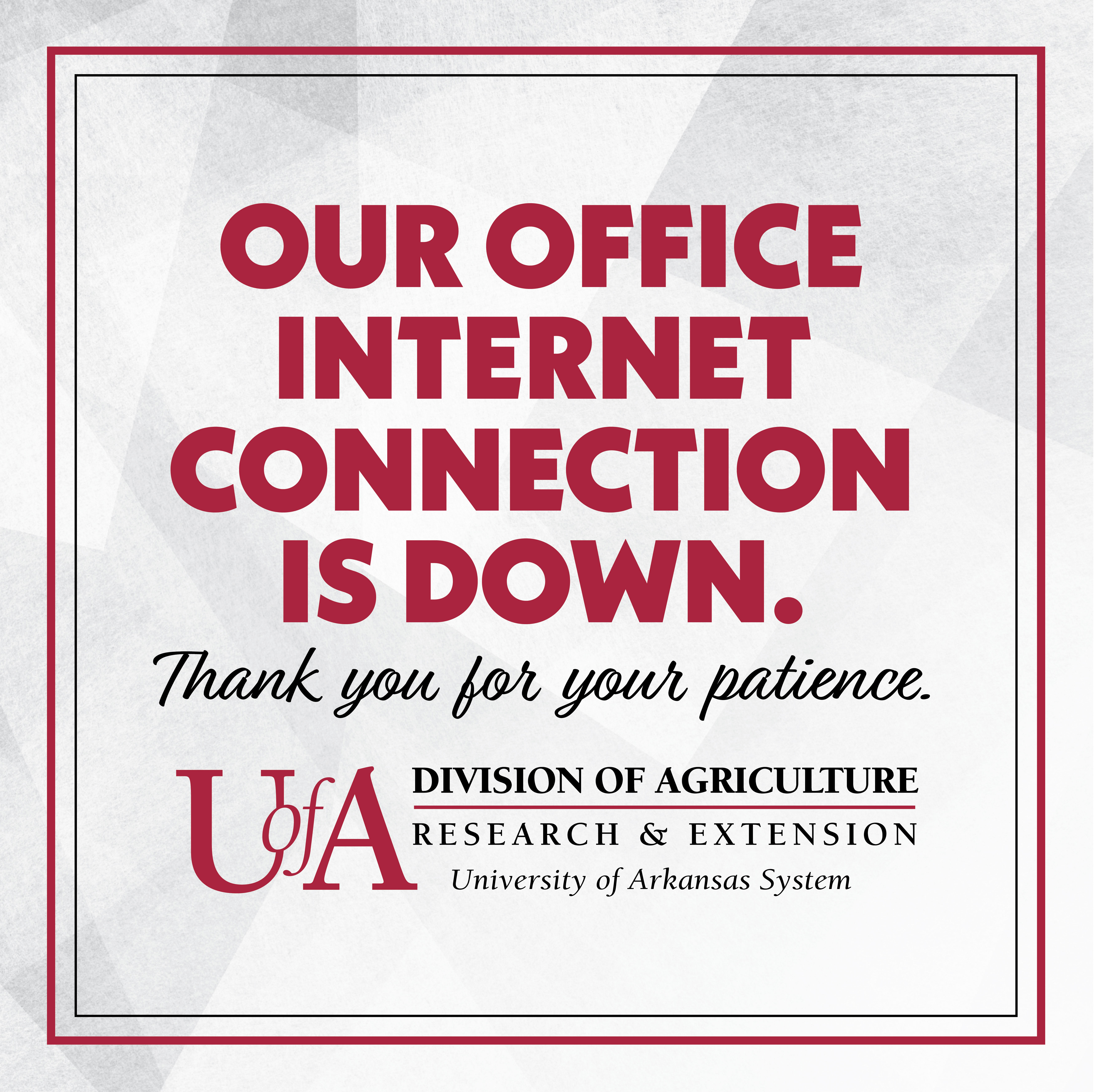 Internet is down, thank you for your patience