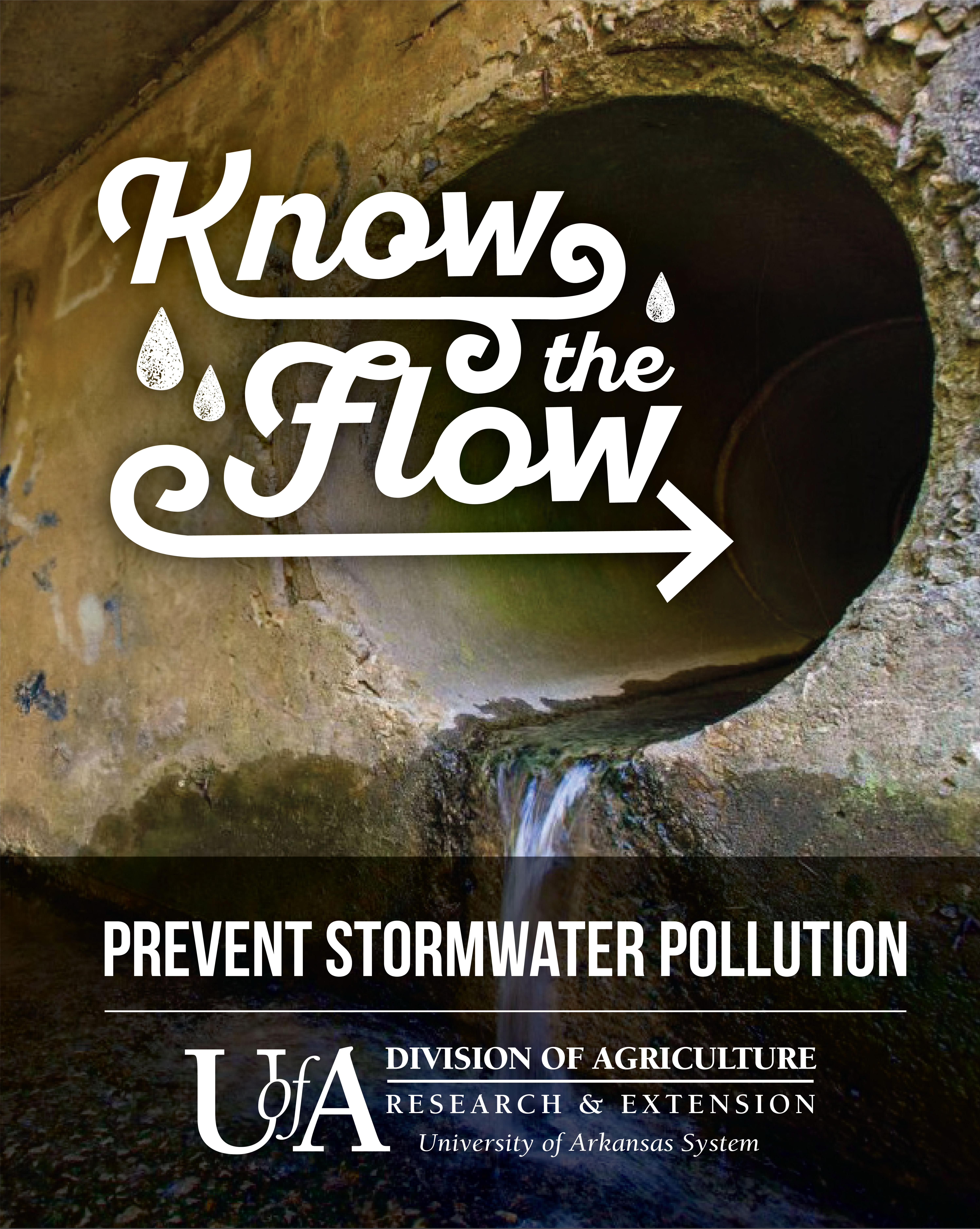 Know the Flow