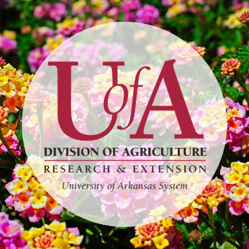 UADA lantana profile pic