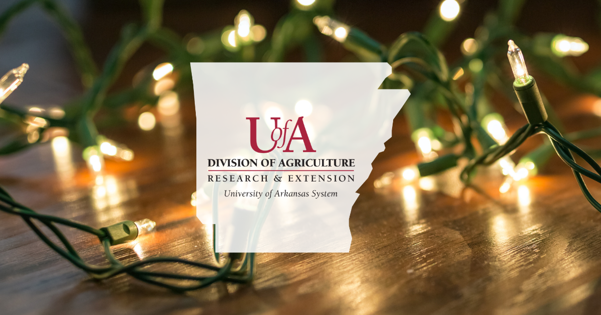 UADA lights cover photo