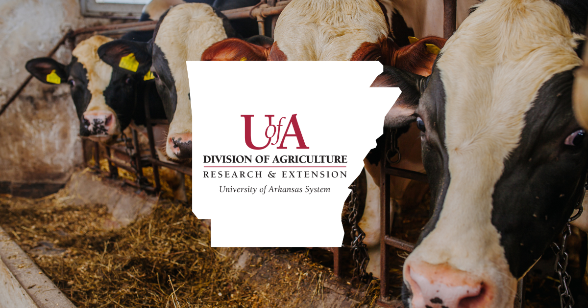 UADA livestock cover photo