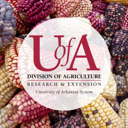 UADA maize profile pic