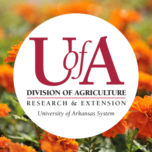 UADA marigolds profile pic