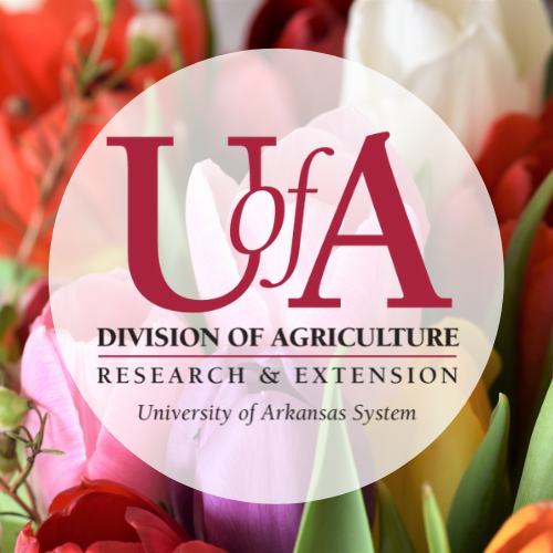 UADA bouquet profile pic