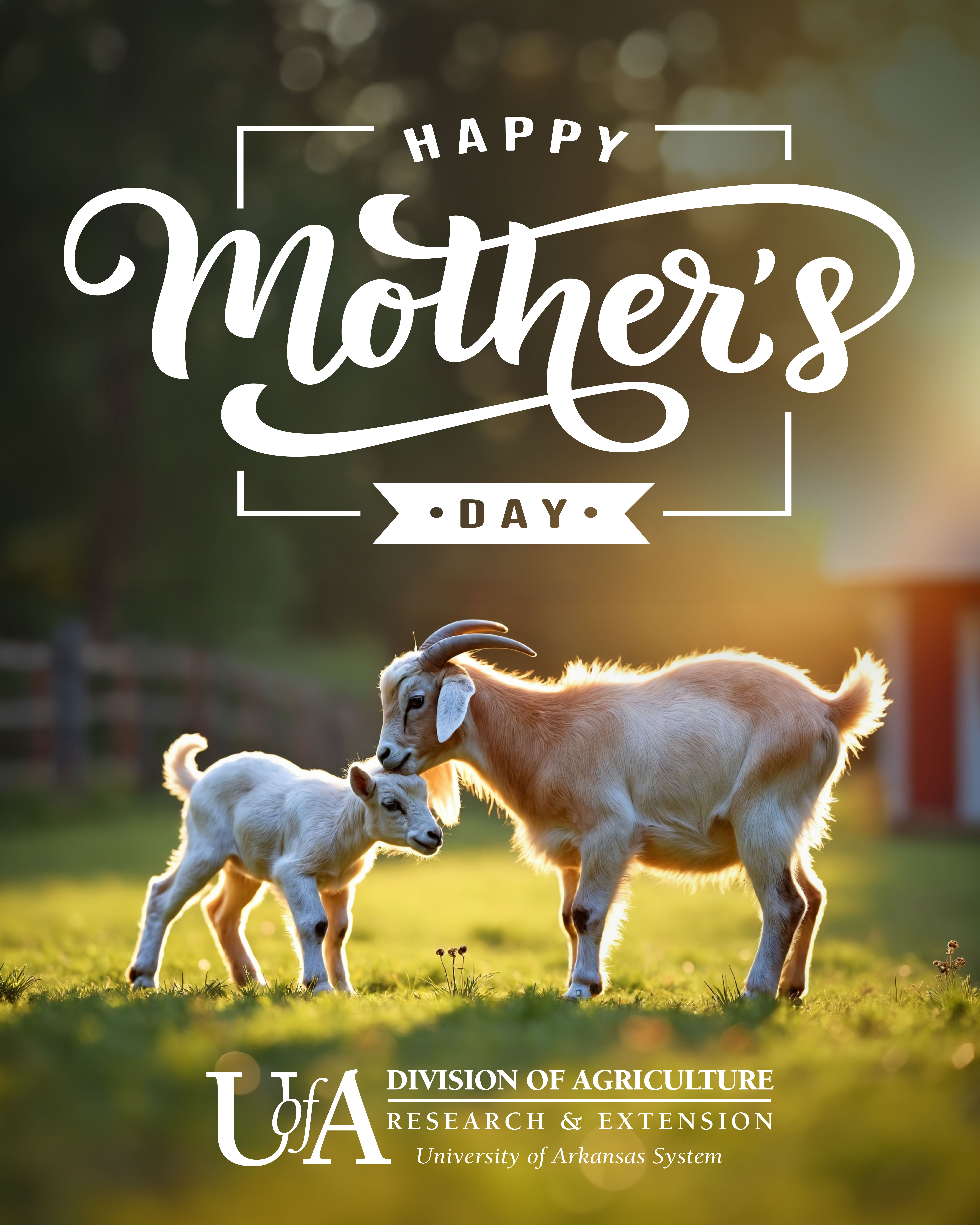 Mother's Day