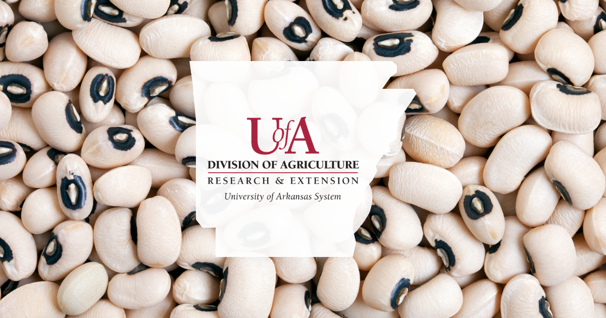 UADA black-eyed peas cover photo