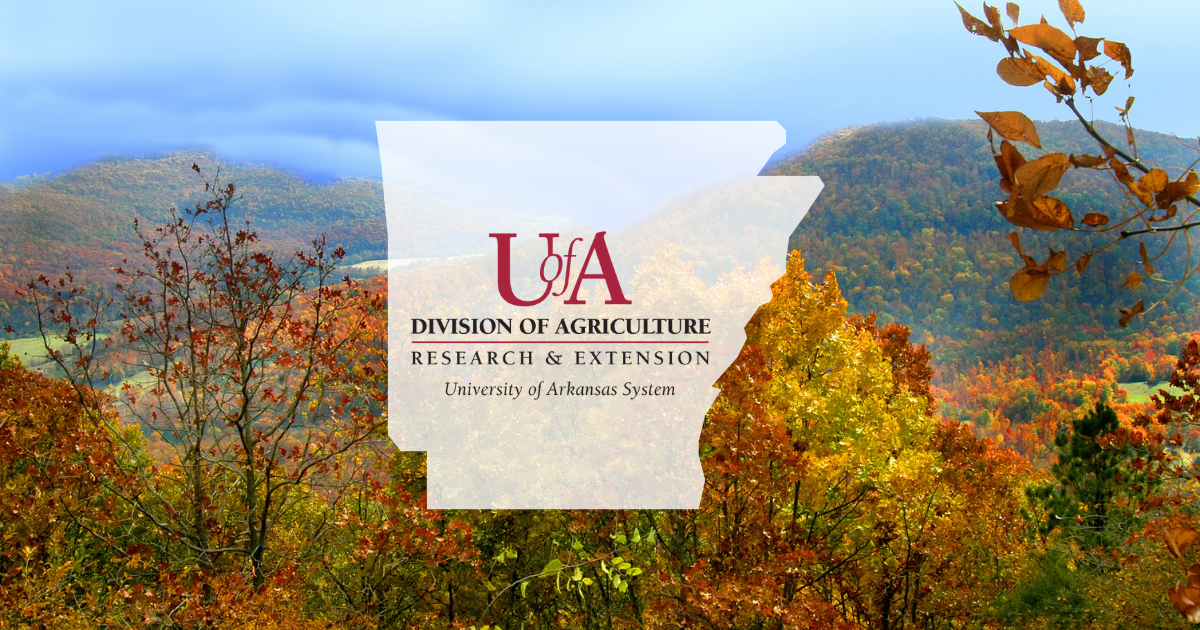 UADA trees in November cover photo