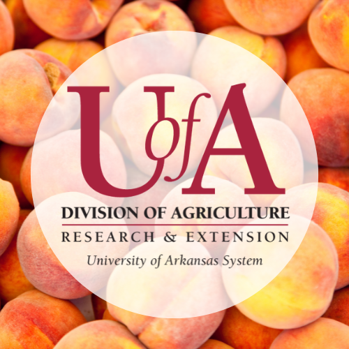 UADA peach profile pic