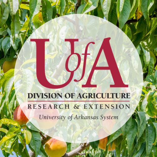 UADA peach tree profile pic