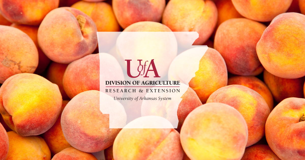 UADA peaches cover photo
