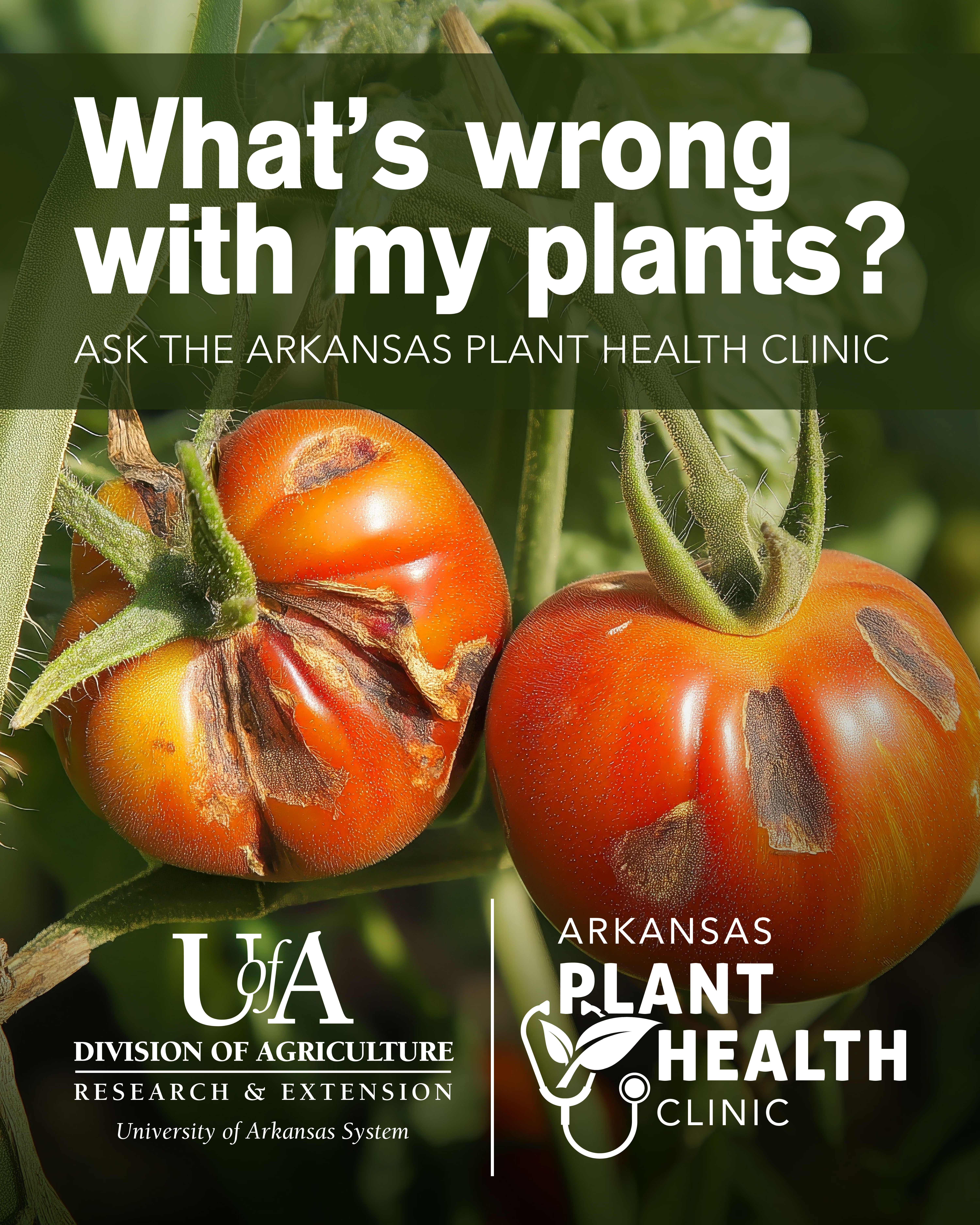 Plant Health Clinic