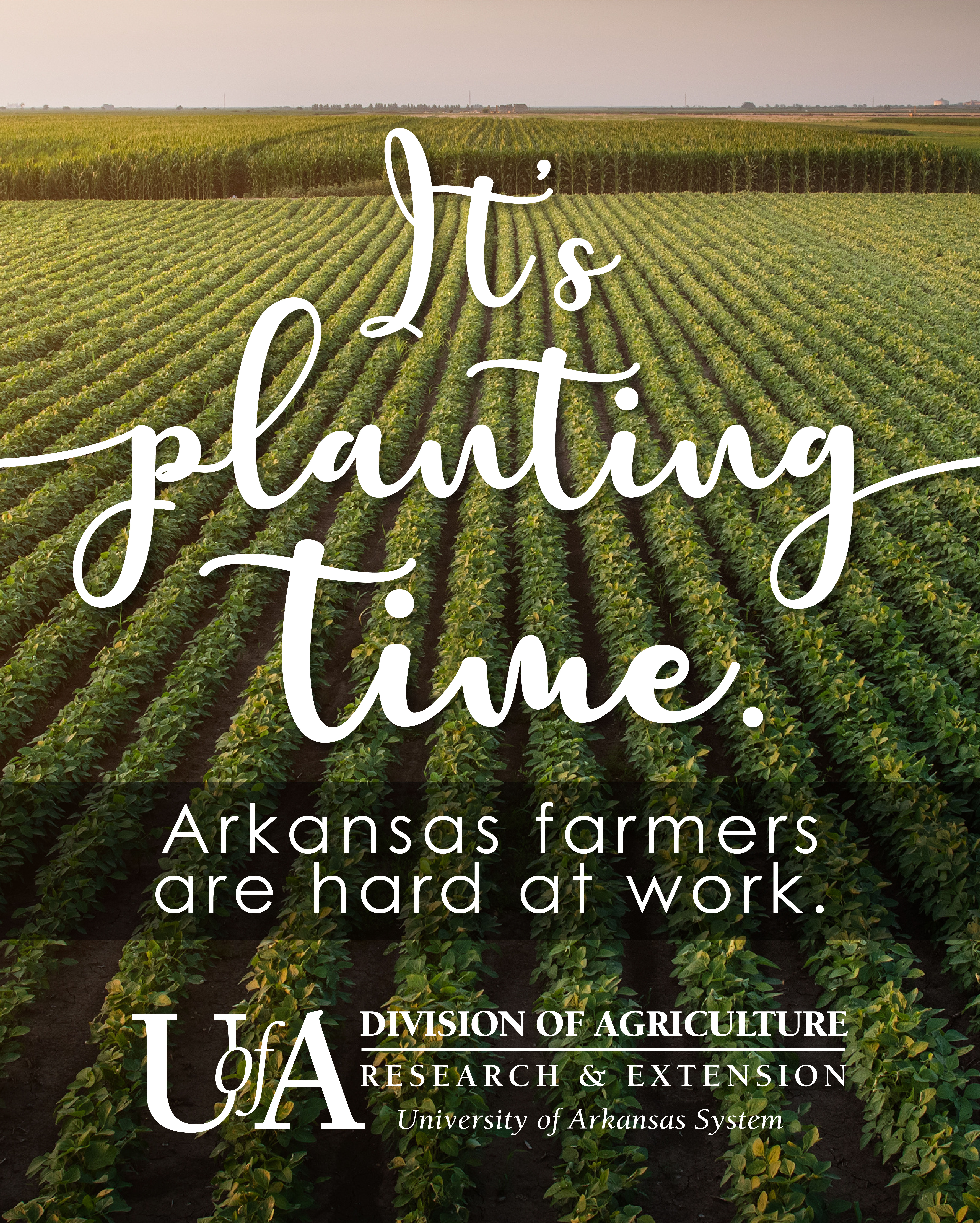 Planting Time